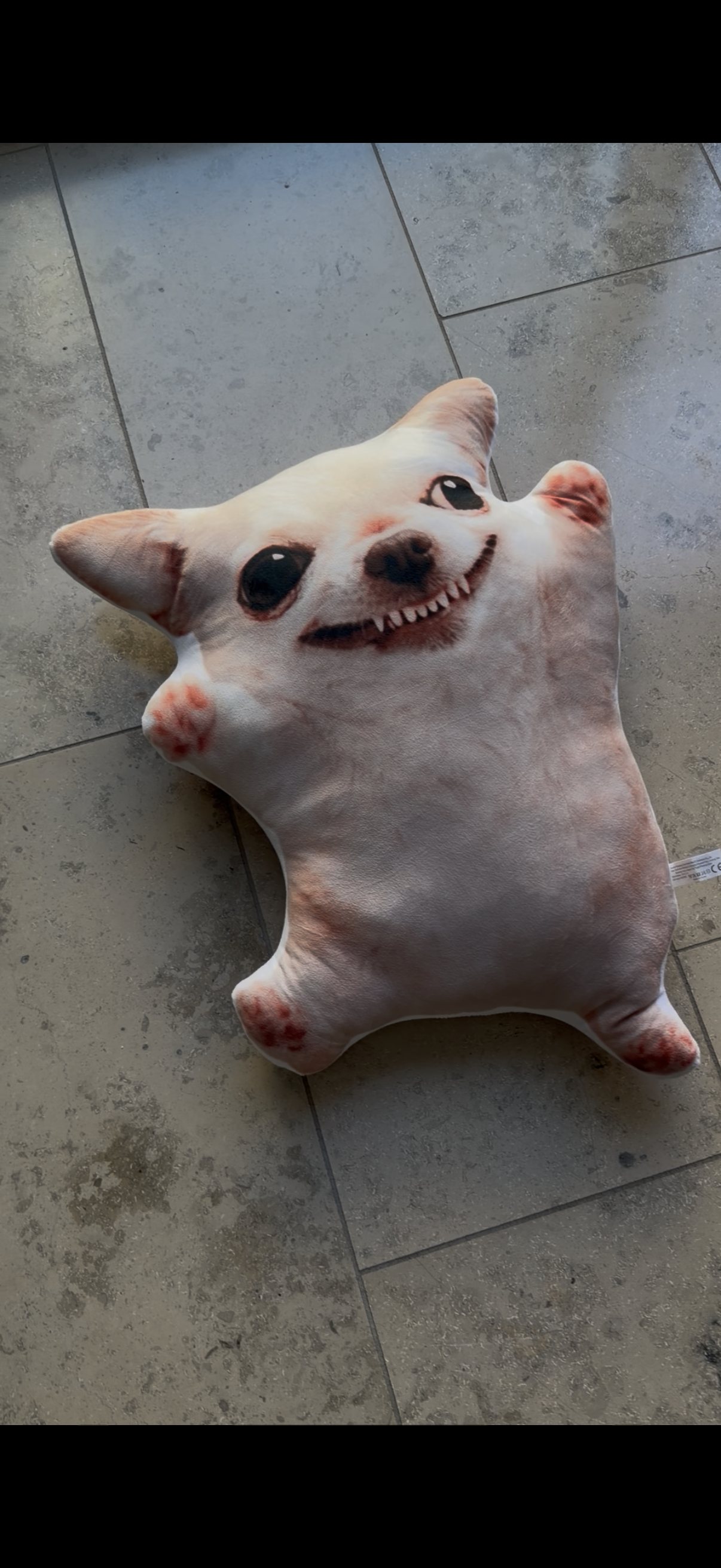 LIMITED Evildog Plush Pillow