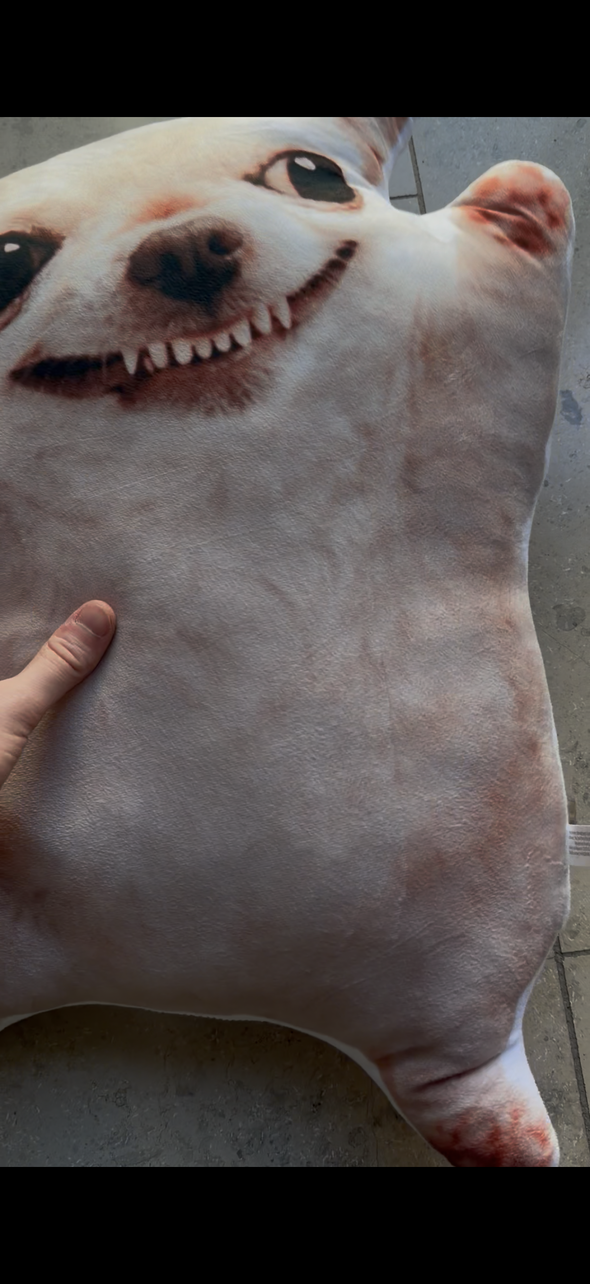 LIMITED Evildog Plush Pillow