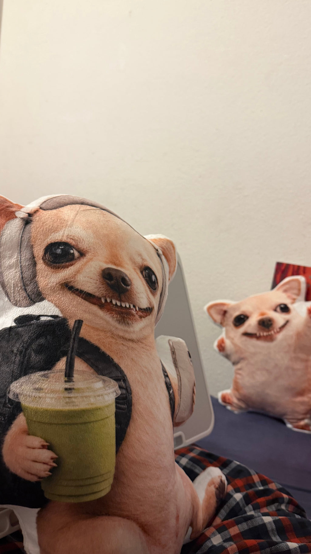 LIMITED Evildogi Matcha Plush Pillow