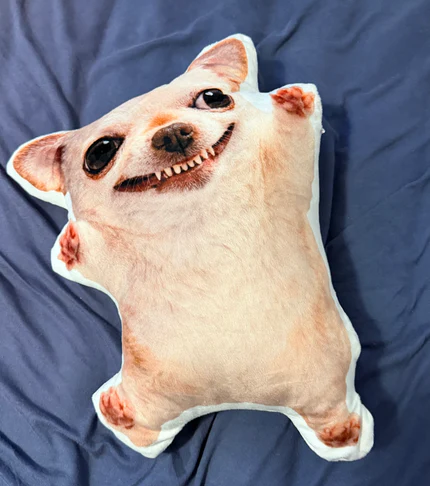 Plushie image 1