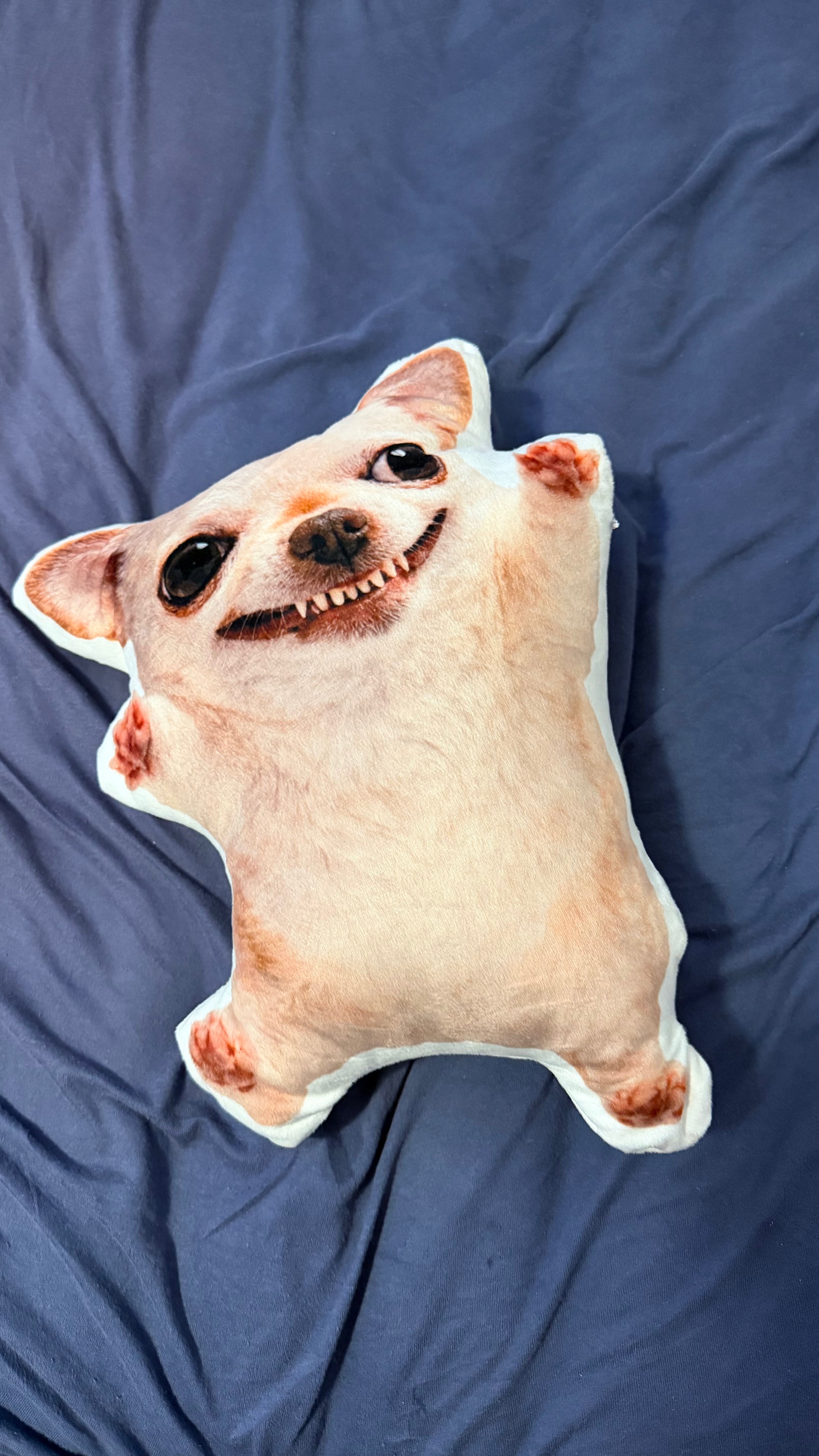 LIMITED Evildogi Plush Pillow