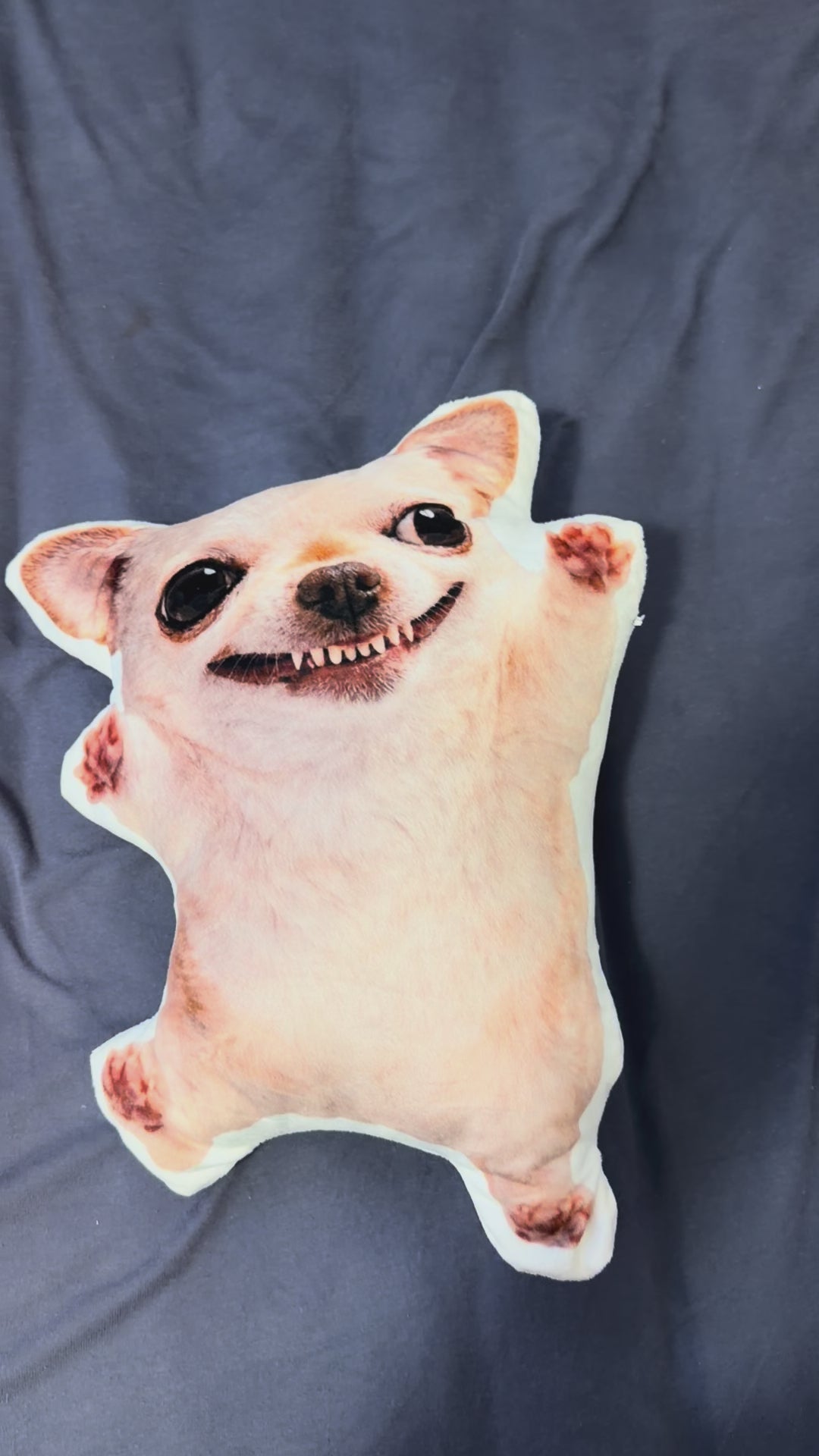 LIMITED Evildogi Plush Pillow