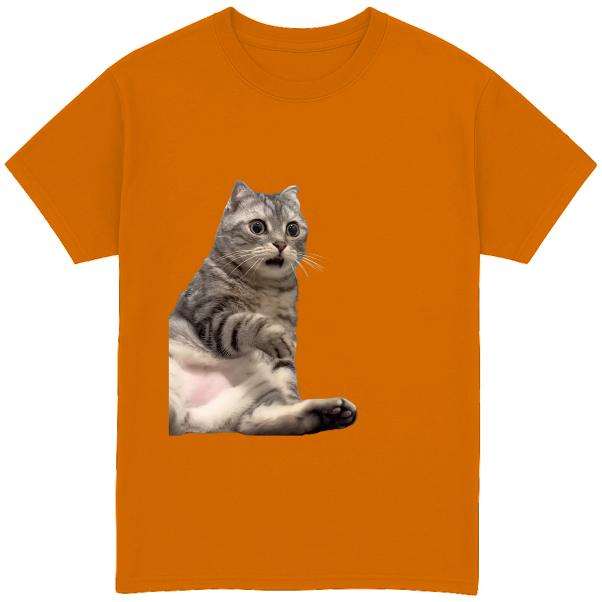 Scared Cat T-Shirt