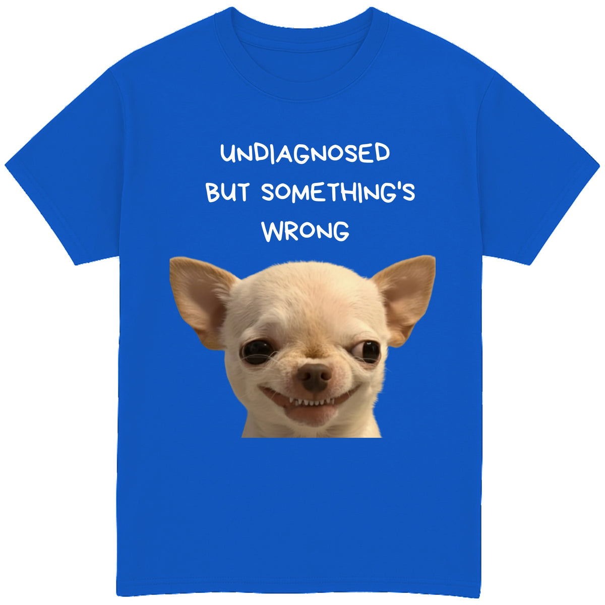 UNDIAGNOSED BUT SOMETHING'S WRONG T-Shirt