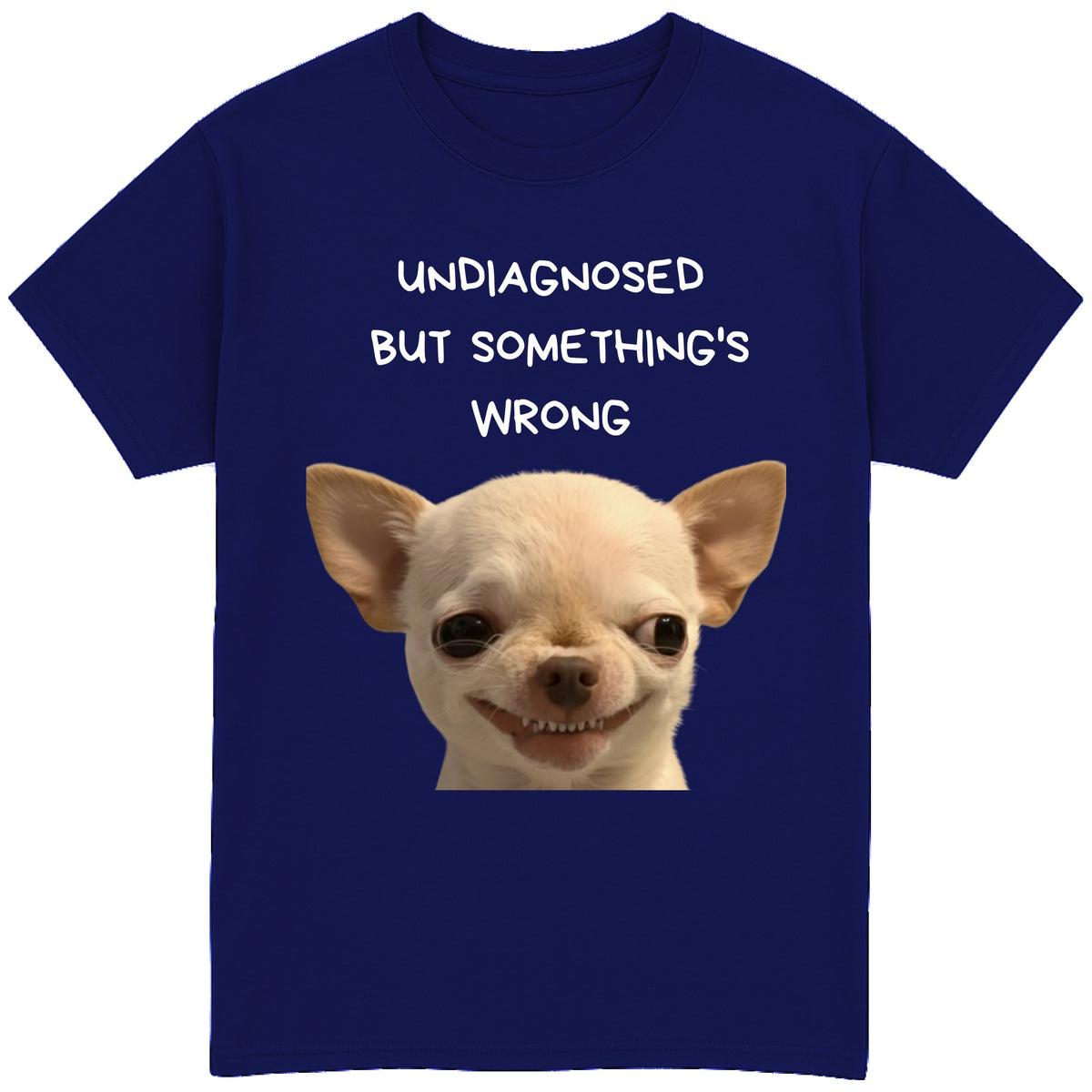 UNDIAGNOSED BUT SOMETHING'S WRONG T-Shirt