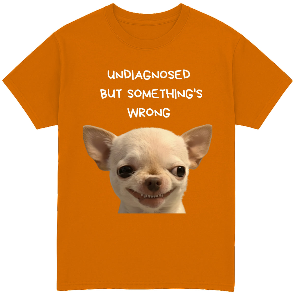 UNDIAGNOSED BUT SOMETHING'S WRONG T-Shirt