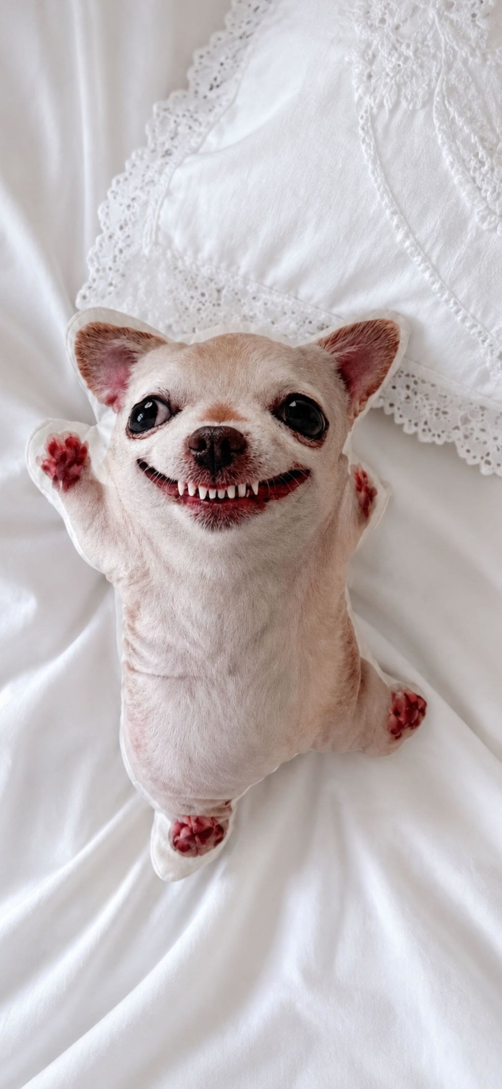 LIMITED Evildogi Plush Pillow
