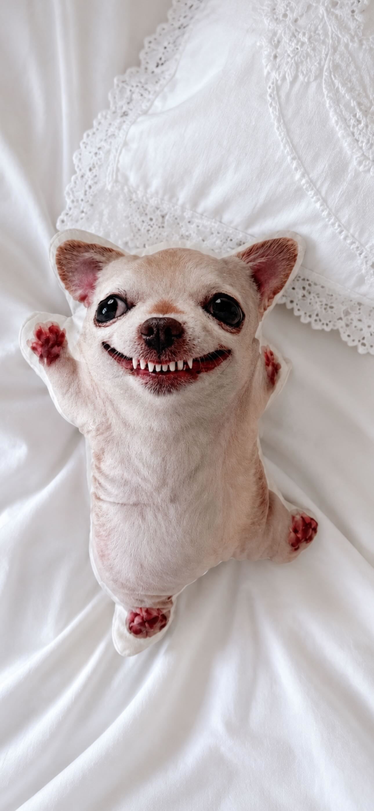 LIMITED Evildogi Plush Pillow