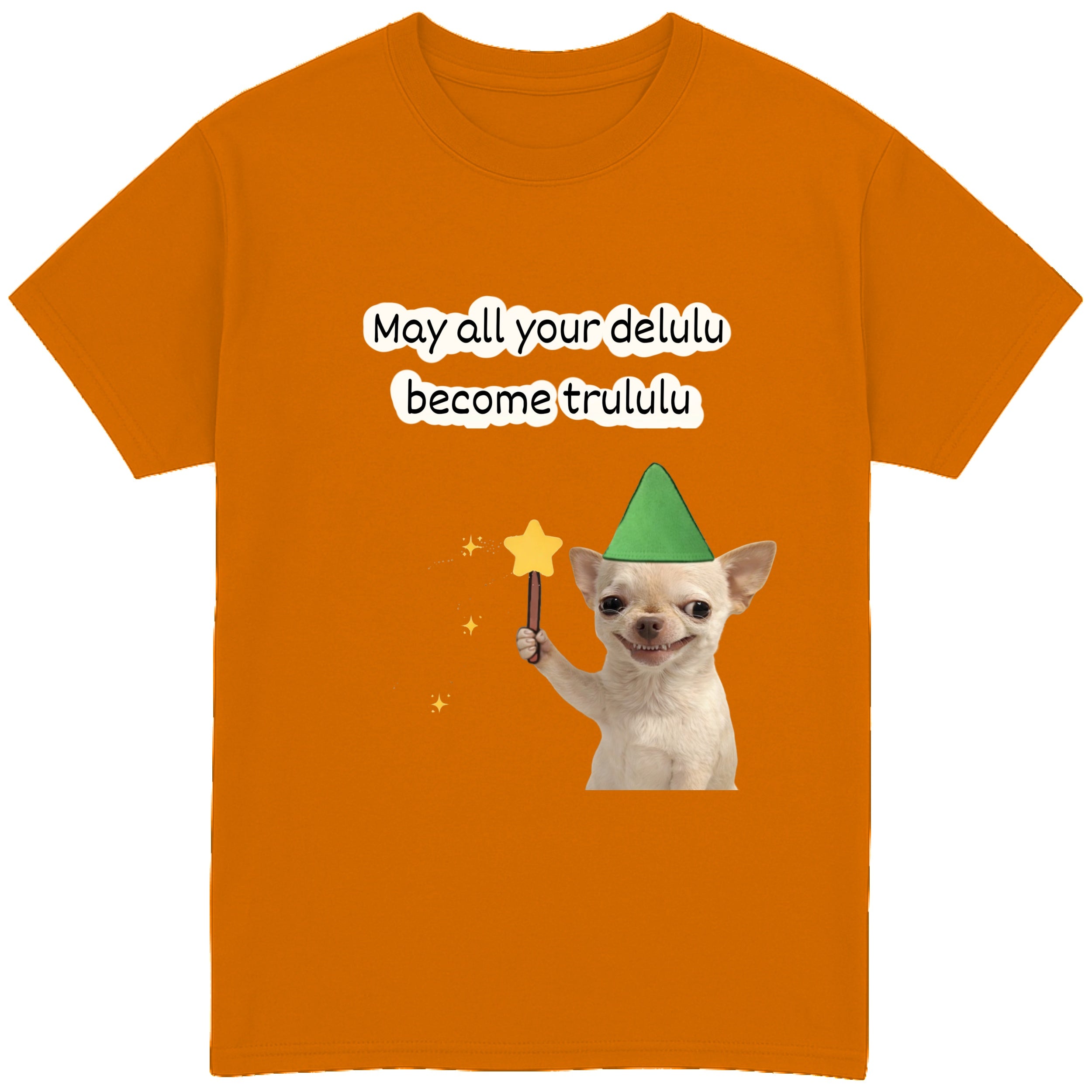 May All Your Delulu Become Trululu T-Shirt