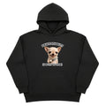 I Have Stability Hoodie