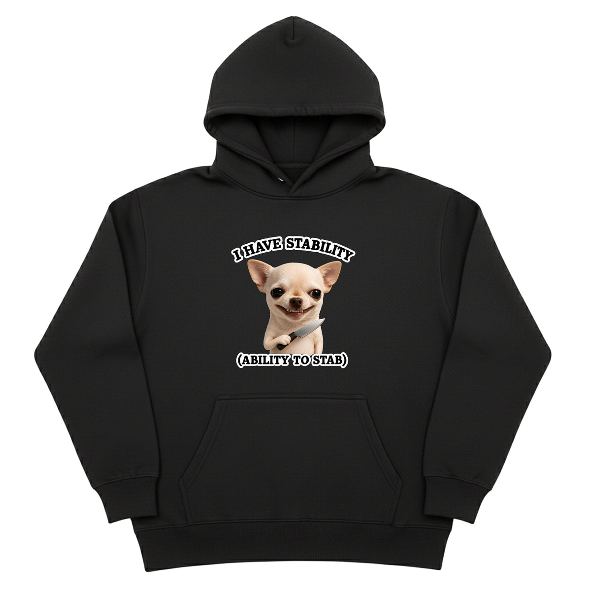 I Have Stability Hoodie