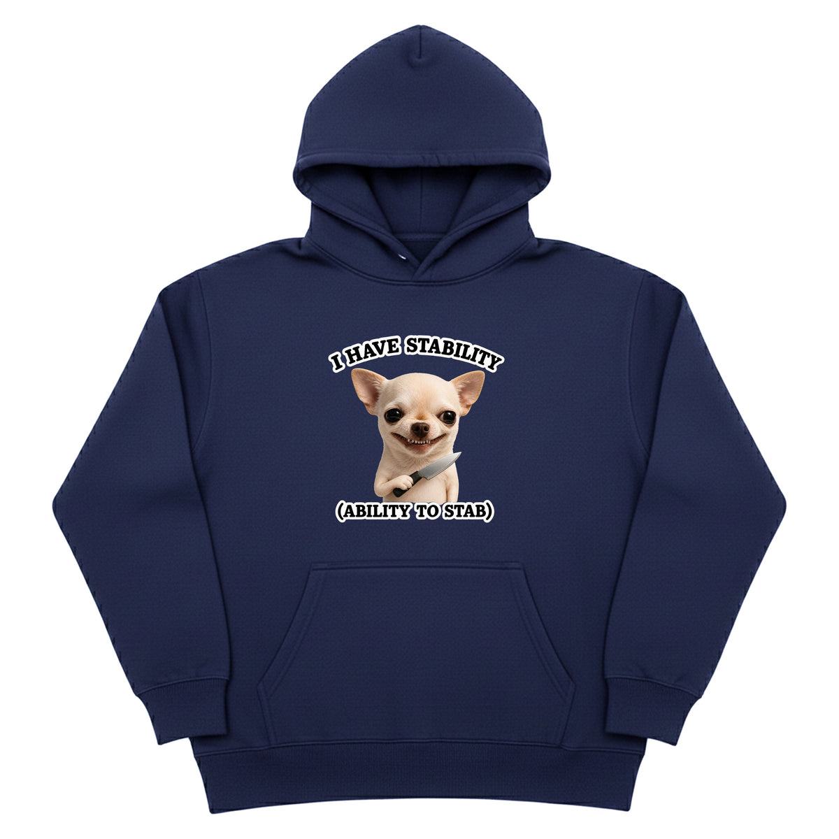 I Have Stability Hoodie