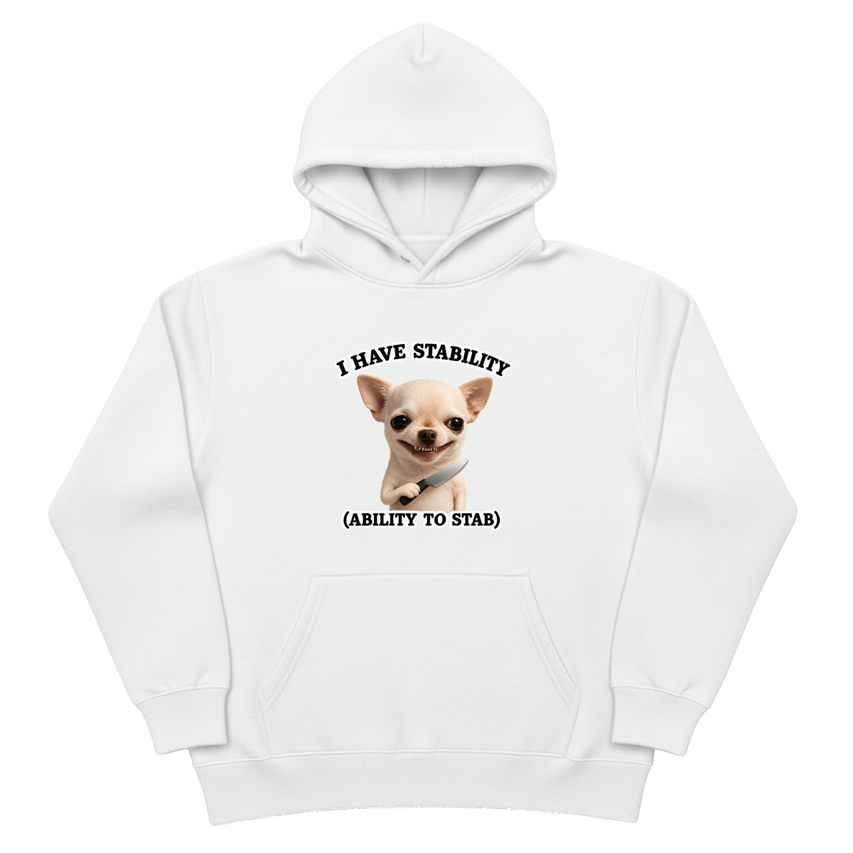 I Have Stability Hoodie