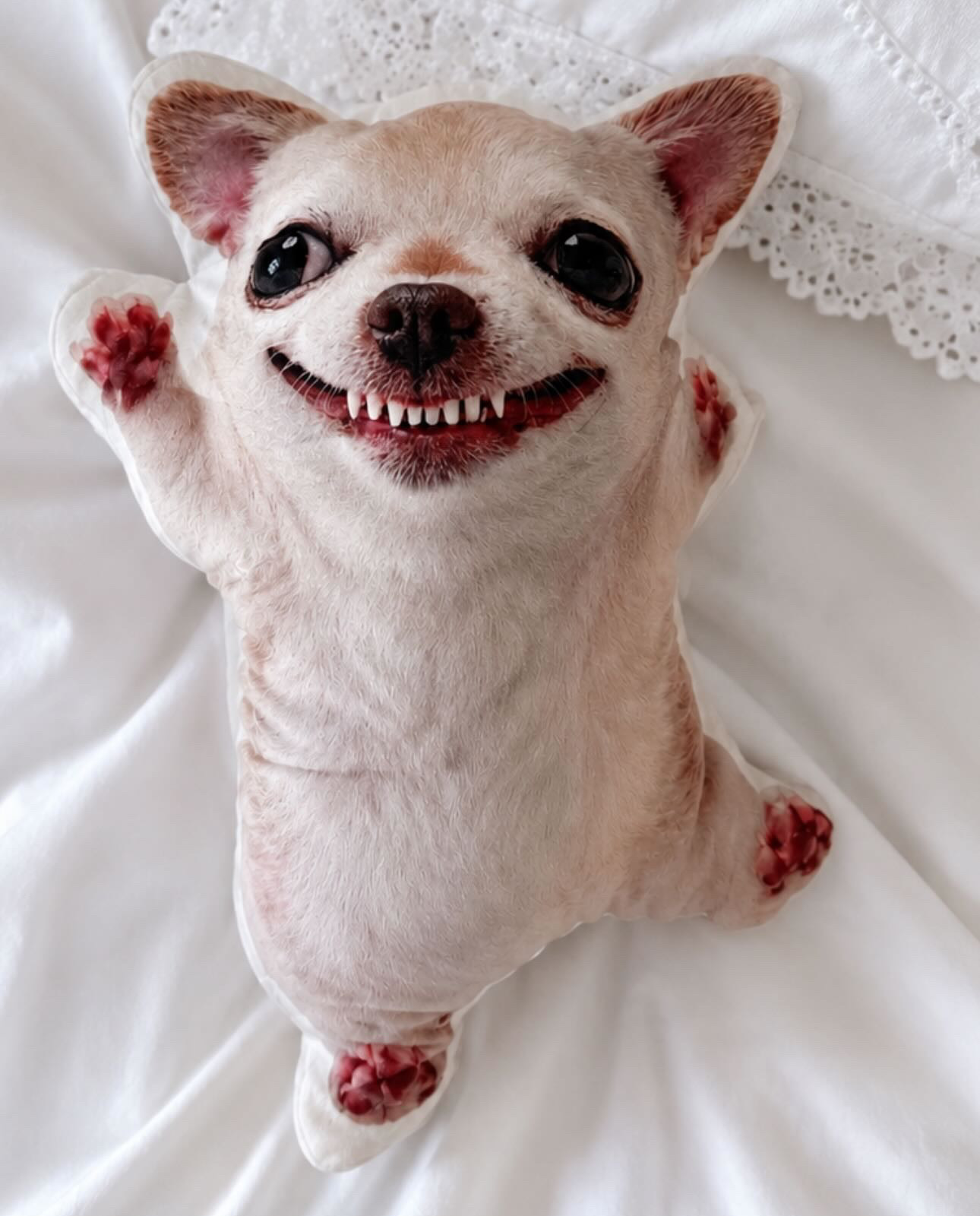 Plushie image 2